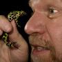 Acclaimed biologist Mark Moffett’79, described as a “daring eco-adventurer,” has photographed and researched ants, tree canopies, and frogs, just to name a few of his subjects. His new book is about what we can learn about human societies from the animal kingdom.